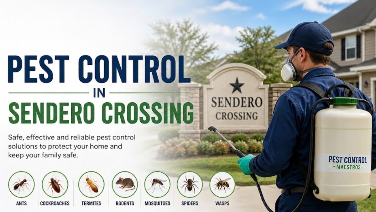 Reliable Pest Solutions in Phoenix
