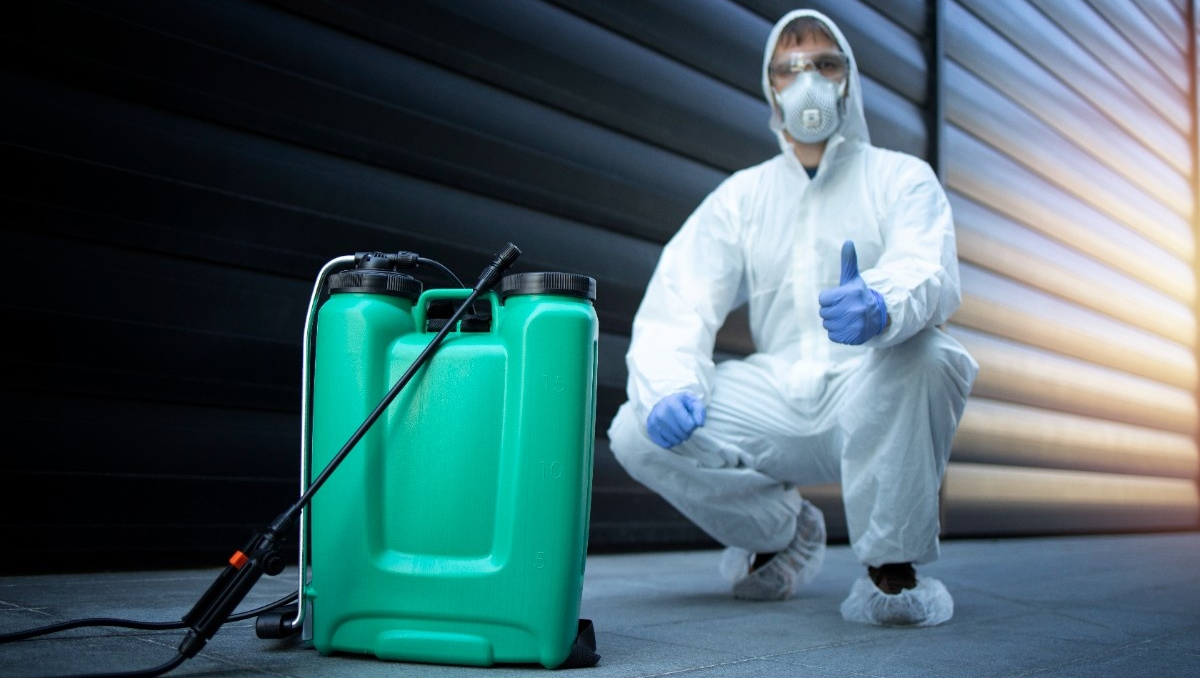 Reliable Pest Solutions in Phoenix